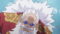 One Piece Season 23 Episode 1179