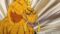 One Piece Season 21 Episode 1035