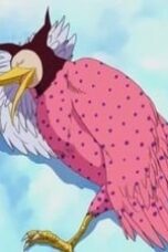 One Piece Season 6 Episode 162