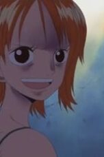 One Piece Season 9 Episode 267