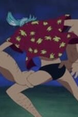One Piece Season 8 Episode 261
