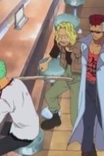One Piece Season 5 Episode 135