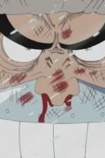 One Piece Season 3 Episode 87