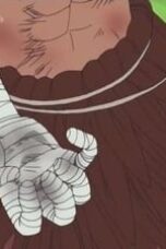 One Piece Season 6 Episode 181