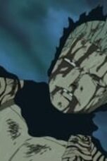 One Piece Season 9 Episode 320