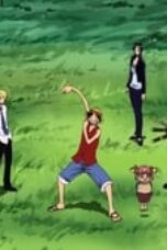 One Piece Season 7 Episode 209