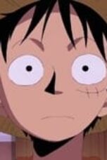 One Piece Season 10 Episode 354