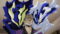 Daemons of the Shadow Realm Season 1 Episode 13